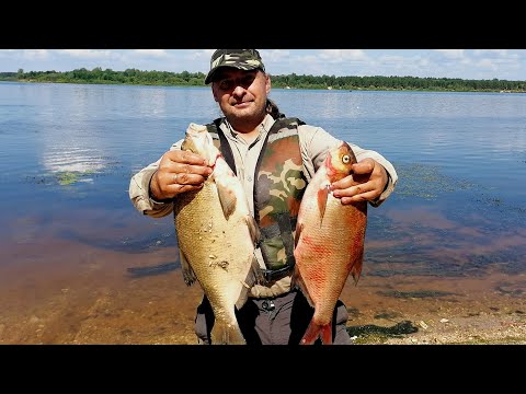 Видео: РЫБАЛКА НА ЛЕЩА! Думал КЛЁВА не будет, но.. ДОБАВИЛ это на крючок и ЛЕЩИ ПОПЕРЛИ!