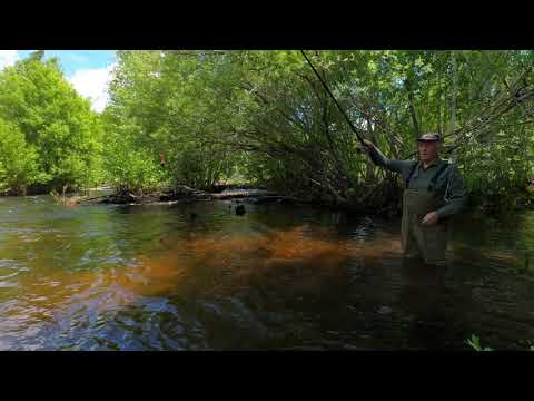 Видео: Рыбалка по горной речки в июне 2021, 4K. Fishing on the mountain river