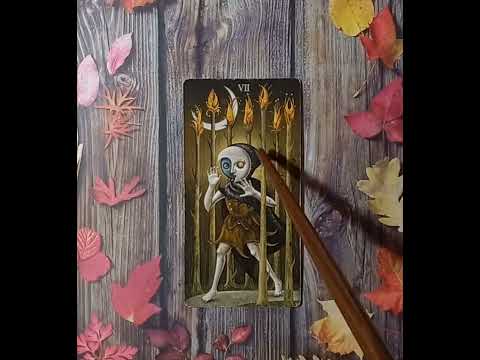 Видео: Для начинающих. Таро безумной луны. Семерка Жезлов