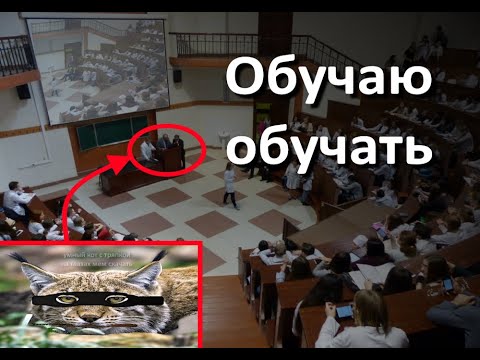 Видео: Как не развалить свой геймдизайн с нулевой - принципы качественного обучения