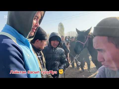 Видео: БУЛ ТАЙДЫН СООДАСЫ КЫЗЫДЫ😃😃ПАЙ ПАЙ 