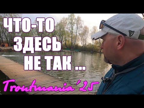 Видео: Что то здесь не так ...