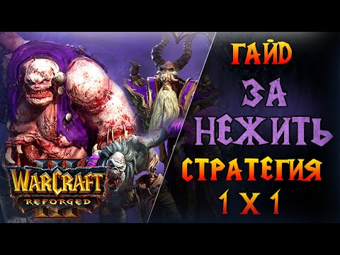 Видео: Универсальная стратегия против всех рас  \\  Warcraft 3 Reforged - Гайд за Нежить