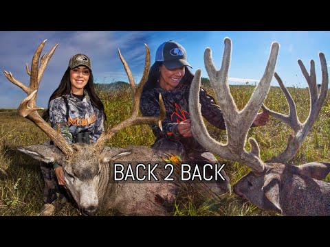 Видео: ОХОТА ИЗ ЛУКА НА ГИГАНТСКОГО ОЛЕНЯ-МУЛА! | Келси Роббинс за два года добыла двух огромных оленей!...