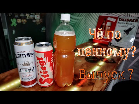 Видео: Чё по пенному? #7 Scotty West Lager, Stiegl-Goldbräu, Milk of Amnesia #пиво #дегустация #stiegl