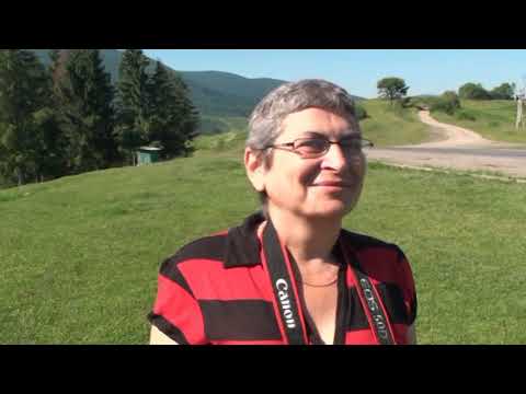 Видео: Жемчужина Карпат Синевирское озеро