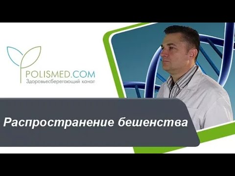 Видео: Распространение бешенства. Переносчики бешенства. Бешенство домашних животных и птиц