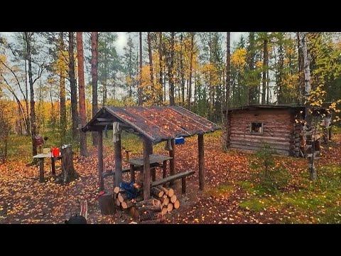 Видео: ОХОТА ЗА ЗУБАСТОЙ. Жерлицы срабатывают ОДНА ЗА ОДНОЙ! Осенняя рыбалка на таёжной реке.