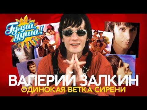 Видео: Валерий Залкин - Одинокая ветка сирени - Душевные песни