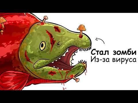 Видео: Ты – Лосось (И ЭТО ВСЯ ТВОЯ ЖИЗНЬ)