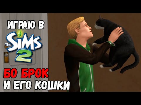 Видео: ИГРАЮ В SIMS 2 | БО БРОК И ЕГО КОШКИ | КОШАТНИК БО БРОК