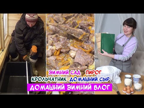 Видео: Зимний сад. Домашний сыр. Пирог из школьной тетради. Как я тушу мясо. Переделки в крольчатнике.