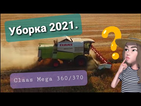 Видео: Уборка гороха 2021год. CLAAS MEGA 360/370