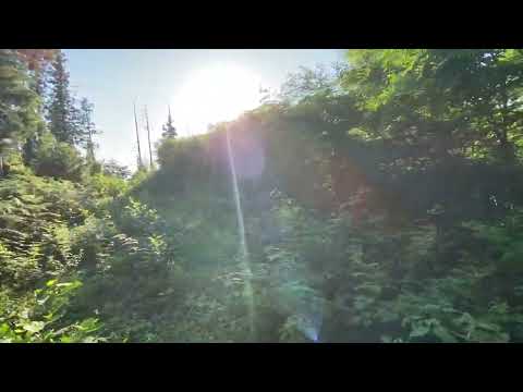 Видео: Продается не сельхозназначения земля, 22$ за кв.м., 10 км. от моря, 6 км. от Кобулети.+995558997979