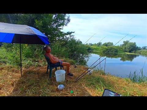 Видео: ЗАКИНУВ КОРМАЧКИ І ЧУТЬ НЕ ЗАЛИШИВСЯ БЕЗ УДОЧОК.Рибалка на кормачки