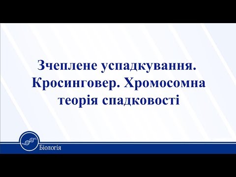 Видео: Зчеплене успадкування. Кросинговер. Хромосомна теорія спадковості. Біологія 11 клас