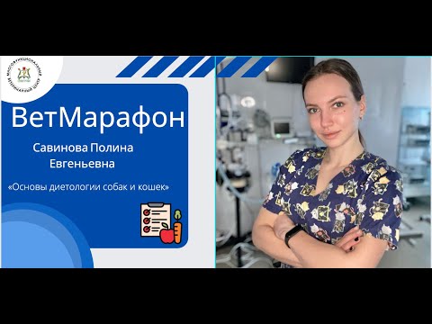 Видео: «Основы диетологии собак и кошек»