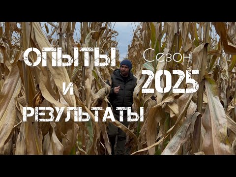 Видео: Кукуруза на зерно , результаты и опыты сезона 2025