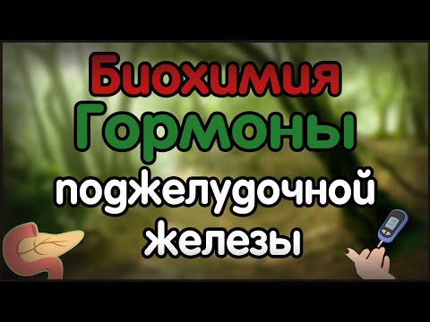 Видео: Биохимия. Лекция 27. Гормоны поджелудочной железы. Сахарный диабет