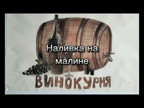 Видео: Наливка на малине.