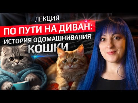 Видео: По пути на диван: генетическая история одомашнивания кошки. Лекция Анны Ивановой