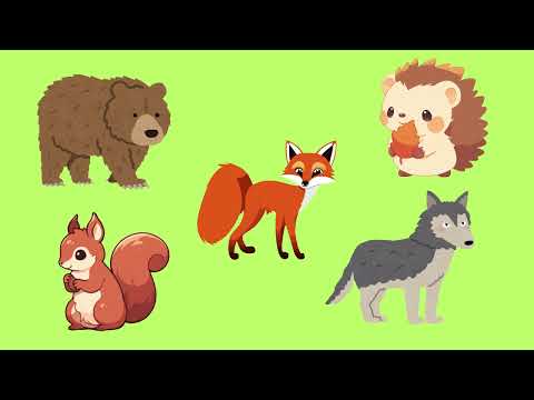 Видео: «Слово. Слова — назва предметів» (основи грамоти)