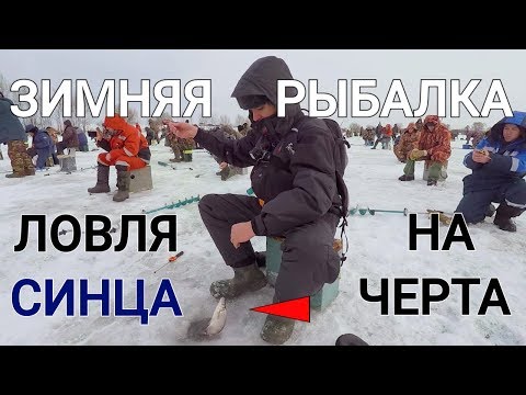 Видео: Вот это рыбалка!... Ловля синца на Оке. Поклевки в кадре. Зимняя рыбалка 2018 - Рыбалка со stigan'ом