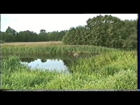 Видео: Деревня. 1994 год