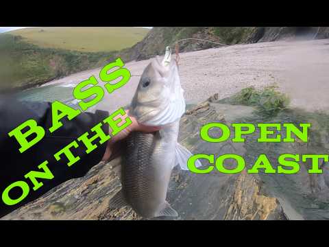 Видео: Ловля окуня на открытом побережье: потрясающий морской окунь! Спигола, лабракс, зеебарс, водяные ...