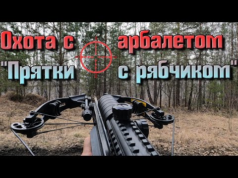 Видео: Охота с Арбалетом - Прятки с рябчиком и чуткие утки. Весенний поход.
