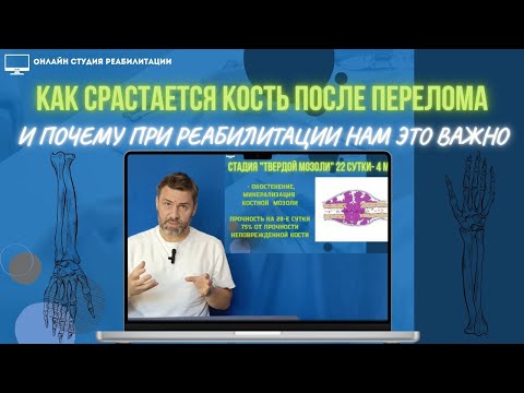 Видео: Как срастается кость после перелома?