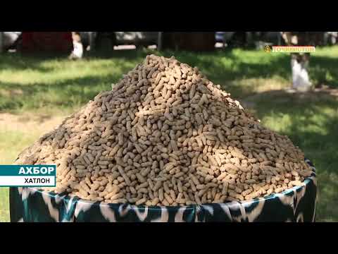 Видео: ХАТЛОН: СЕМИНАРИ ҶУМҲУРИЯВИИ ИЛМӢ - АМАЛӢ ДАР МАВЗУИ “КИШТИ ТАКРОРӢ - ОМИЛИ ФАРОВОНҲОСИЛӢ”