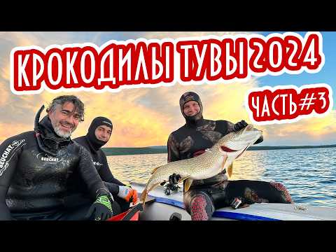Видео: 💣НАЧАЛСЯ ТУВИНСКИЙ ТРЭШ! 🐊 КРОКОДИЛ ПОПАЛ В ЗАМЕС! ⚔️ КРОКОДИЛЫ ТУВЫ 2024 — ЧАСТЬ 3