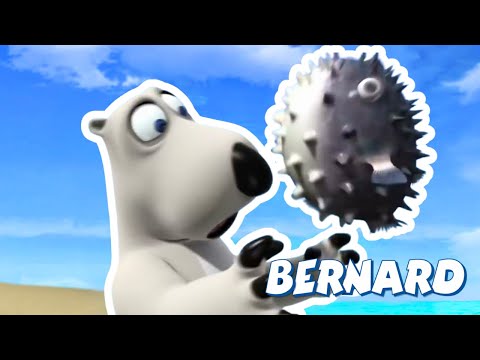 Видео: Бернард, берегись рыбы! | Мультфильмы для детей | Полные эпизоды