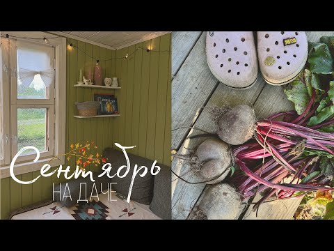 Видео: Дачный влог 🍁 Разговор по душам: НИЧЕГО не успели за сезон!😥