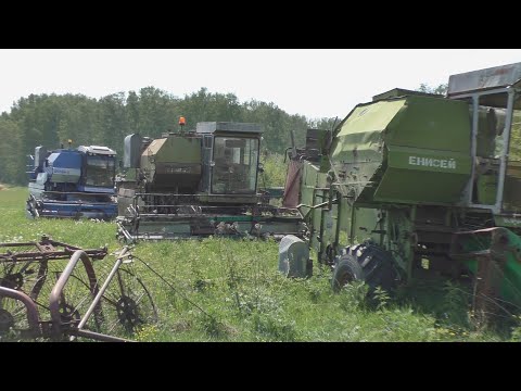 Видео: Заброшенная техника на краю деревни. Кладбище сельхозтехники. Заброшенные комбайны