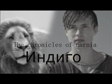 Видео: The chronicles of narnia | Индиго