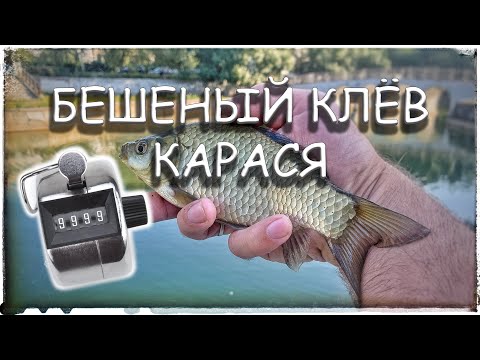 Видео: Мормышинг - Ловим карася - Рекордные результат