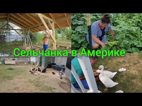 Видео: НА ХУТОРЕ У СЕЛЬЧАНКИ ! СЕЛЬСКИЕ БУДНИ В АМЕРИКЕ!