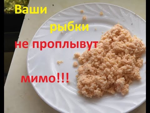 Видео: Омлет для аквариумных рыбок