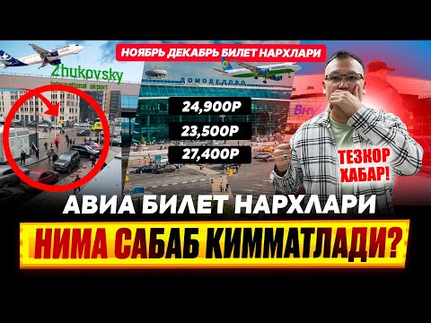 Видео: АВИА БИЛЕТ НАРХЛАРИ НИМА САБАБ КИММАТЛАДИ? НОЯБРЬ,ДЕКАБРЬ 25500₽ 35000₽ 37000₽ @TOMOSHATVN1 