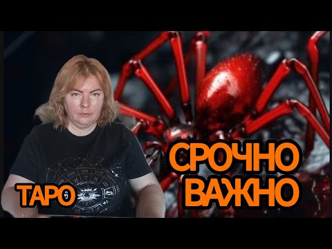 Видео: ‼️ТЕБЯ ОПУТАЛА ПАУТИНА‼️