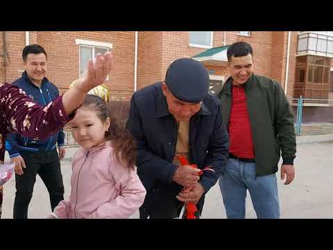 Видео: Әкесіне балалары көлік силады.
