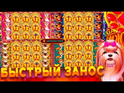 Видео: ДЕПНУЛ 50.000р И СЛОВИЛ МЕГА ЗАНОС НА 500.000р В The Dog House Multihold!!! ЗАНОСЫ НЕДЕЛИ!!!
