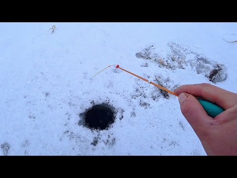 Видео: ПОМЕНЯЛ СНАСТЬ и КИВОК НАЧАЛО ГНУТЬ в КАЖДОЙ ЛУНКЕ! Зимняя рыбалка 2023 - 2024! ЧУДИЩА АТАКУЮТ ЖИВЦА