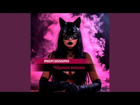 Видео: Чёрная кошка