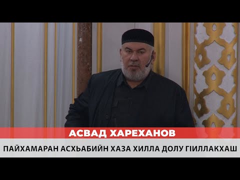 Видео: Асвад - Пайхамаран Асхьабийн хаза хилла долу гlиллакхаш