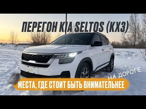 Видео: Перегон KIA Seltos (KX3) из Владивостока до Тюмени