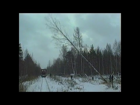 Видео: "Отец, слышишь, пилит, а я отвожу"