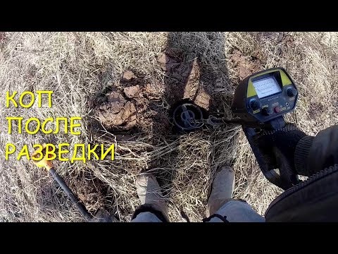 Видео: КОП ЖЕЛЕЗА С МД-4080 ПОСЛЕ РАЗВЕДКИ ХОТЕЛОСЬ БОЛЬШЕ $$$$$ DIGGING WITH MD-4080